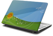 Dragonfly Spring Laptop Skin
